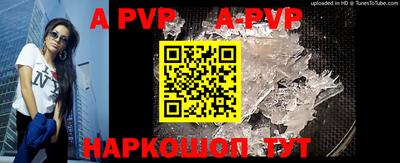 гашик Кимры