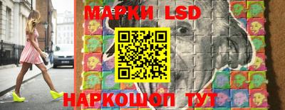 стаф Кинель