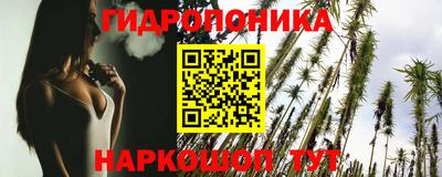 гашик Кимры