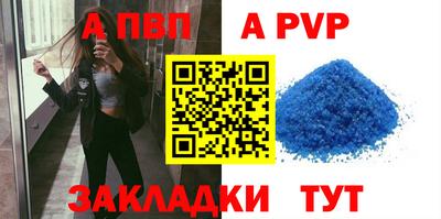 стаф Кинель