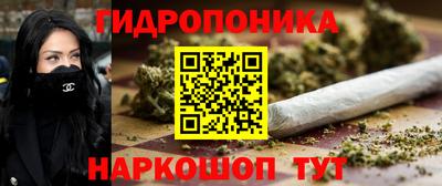гашик Кимры