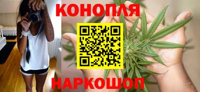 стаф Кинель