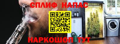 стаф Кинель