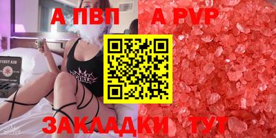 герыч Кингисепп