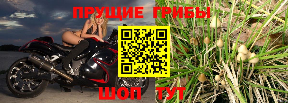Галлюциногенные грибы Psilocybine cubensis  купить   Клинцы  Вход с VPN 