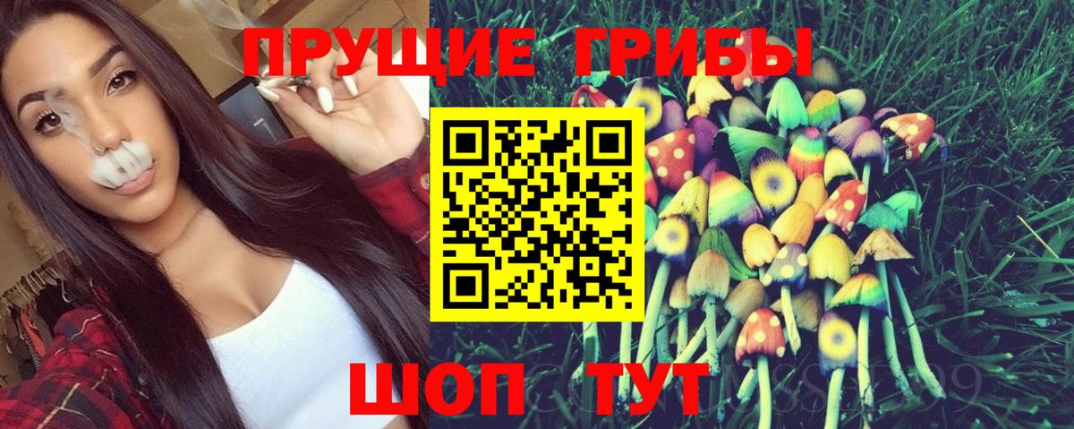 Галлюциногенные грибы Psilocybine cubensis Клинцы